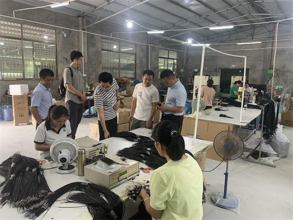 夯实振兴根基，共绘富裕蓝图——基于陆川县龙化村的乡村振兴调研与农业强国建议
